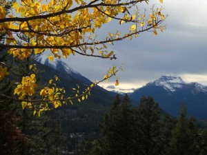 tree_mountains-300x225