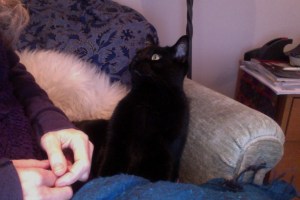 Photo on 27-11-2014 at 15.56 #3